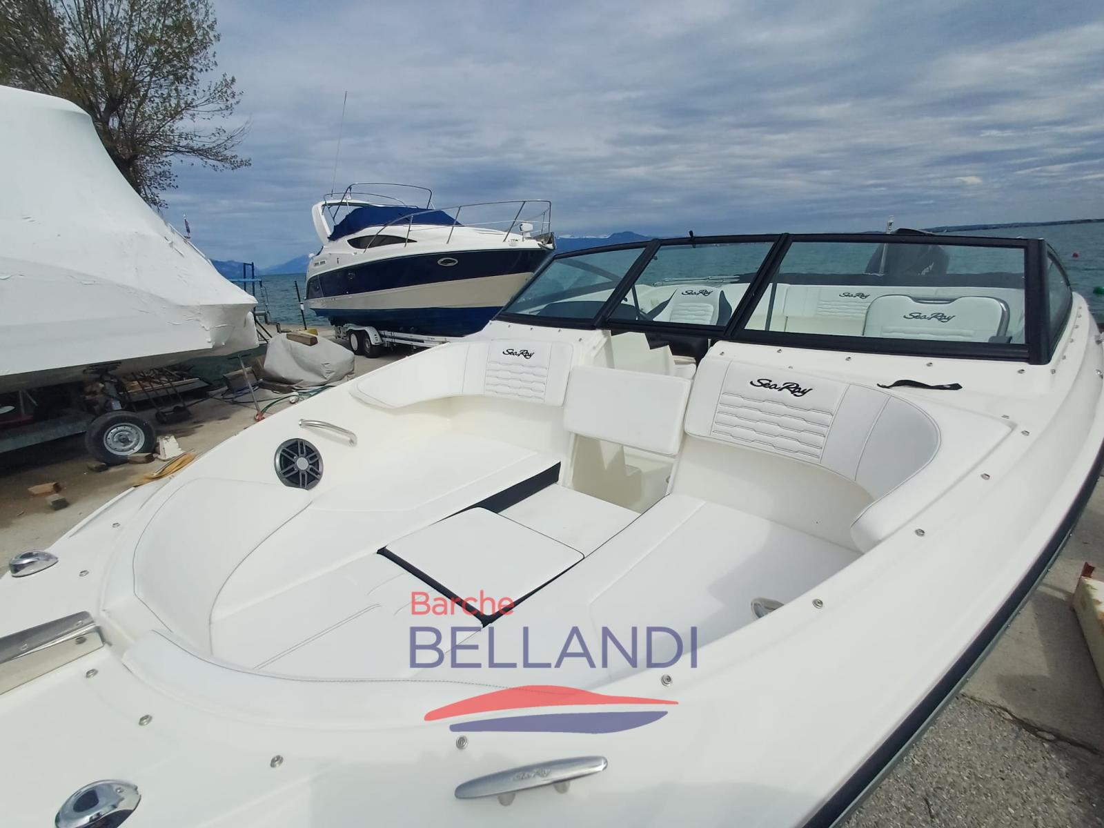 sea ray Spx 210 outboard