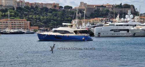 Mochi craft mochi 74 dolphin