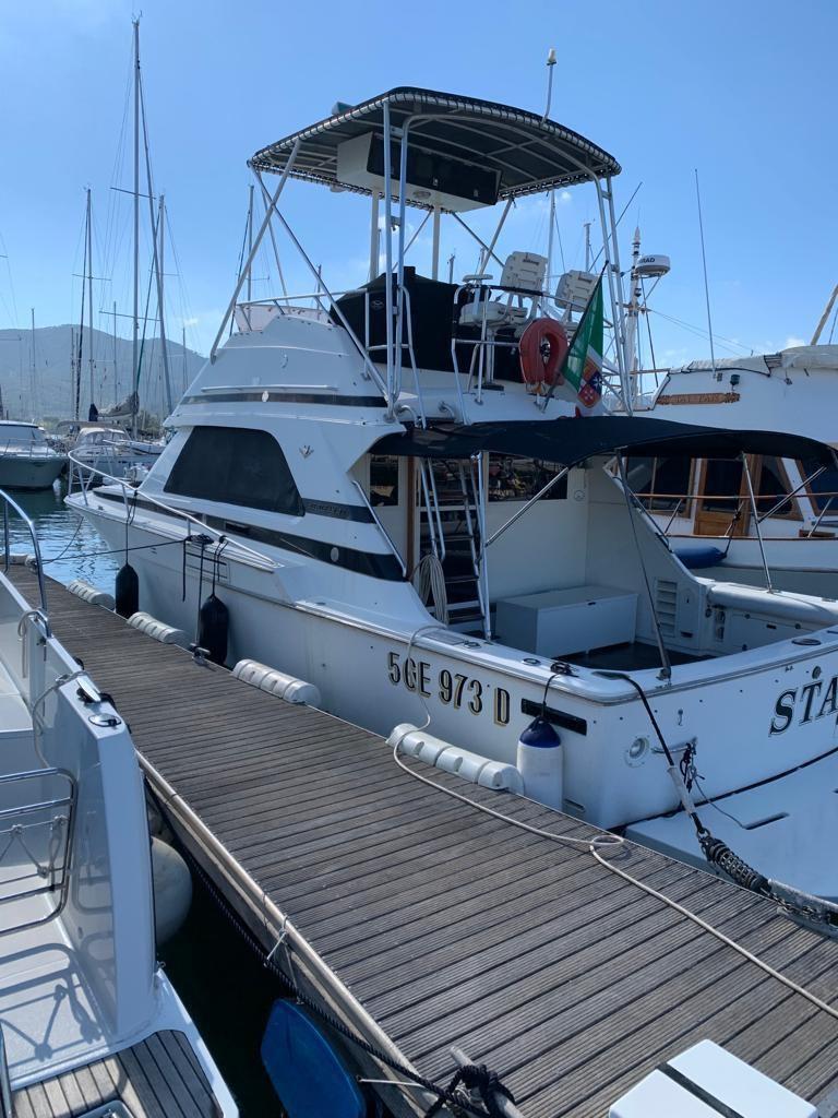 bertram yacht 37' convertible