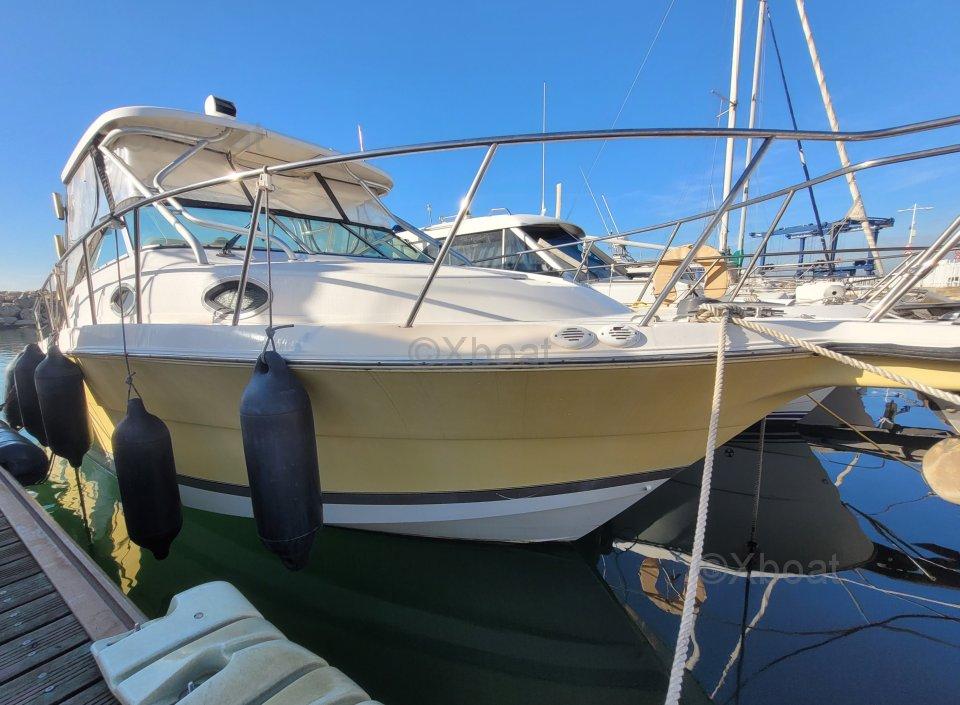 wellcraft Wellcraft coastal 290