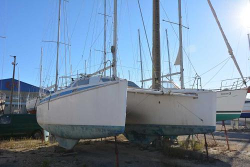 Jeffcat marine kiwi 305