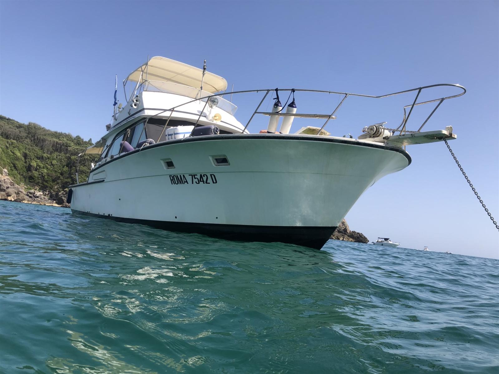 bertram yacht 46.6 convertible