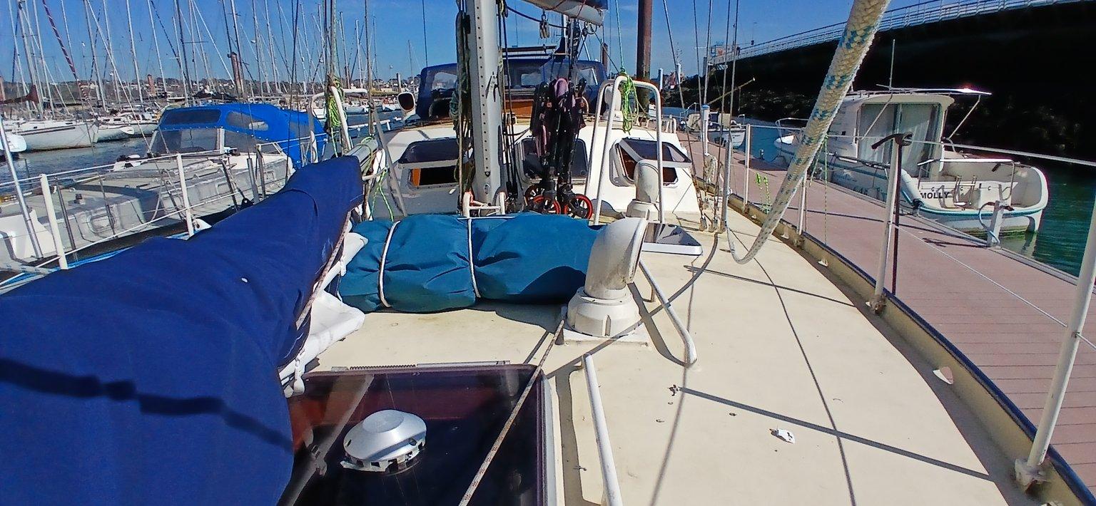 amateur ÎLE DISKO