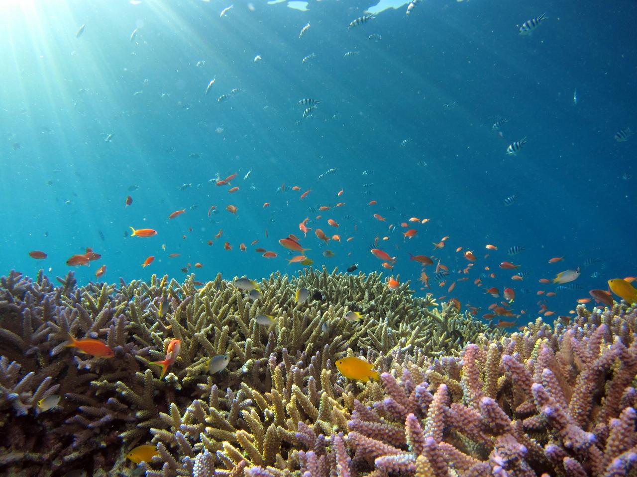 Climate Impact on Yachting