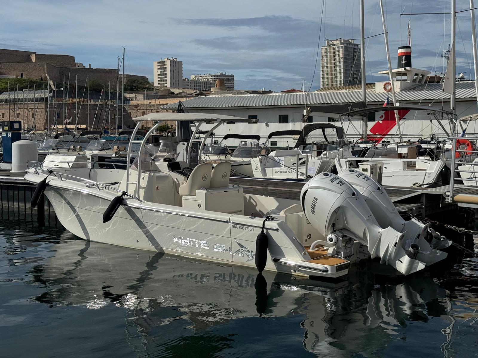 white shark 280 cc evo