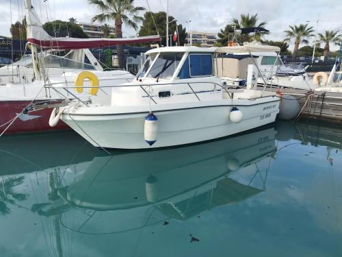 Beneteau antares 620