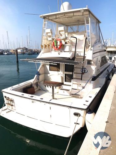 Bertram yacht 43