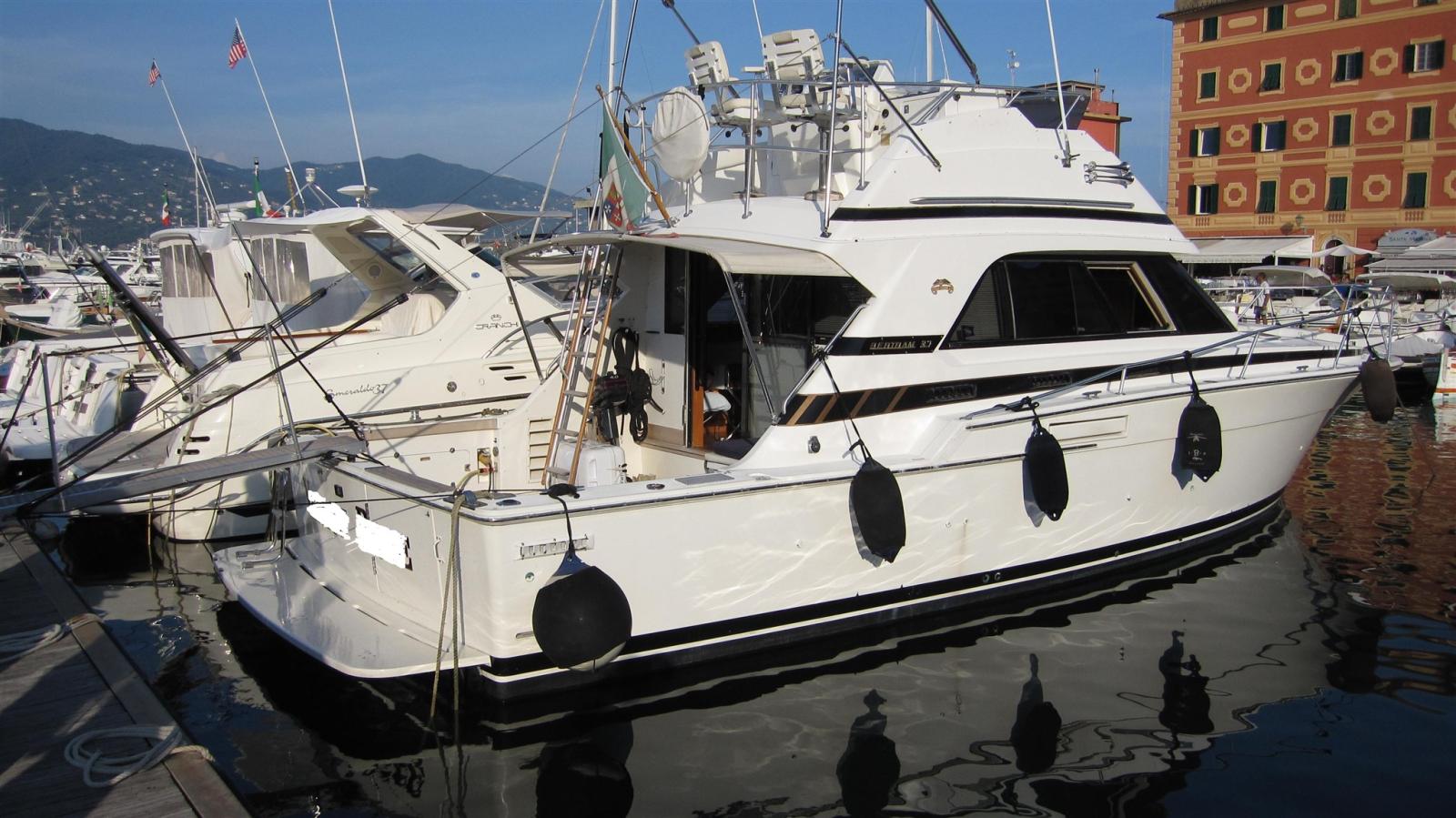 bertram yacht 37' convertible