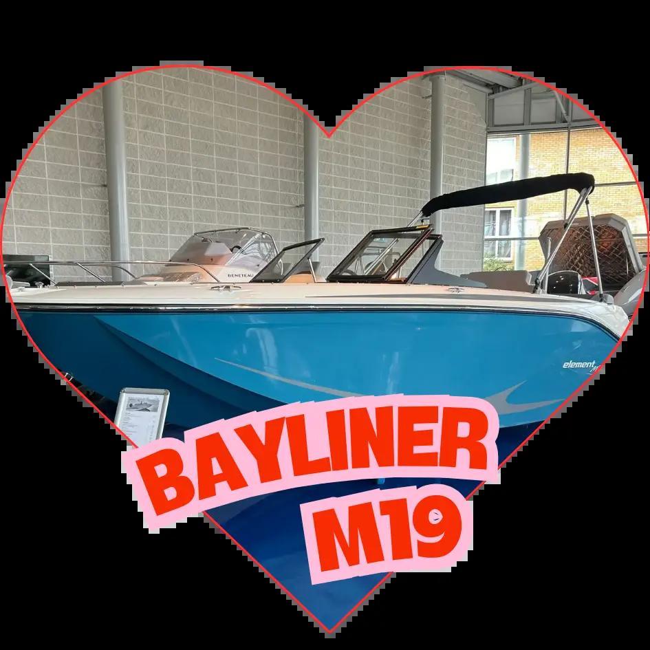 bayliner M 19