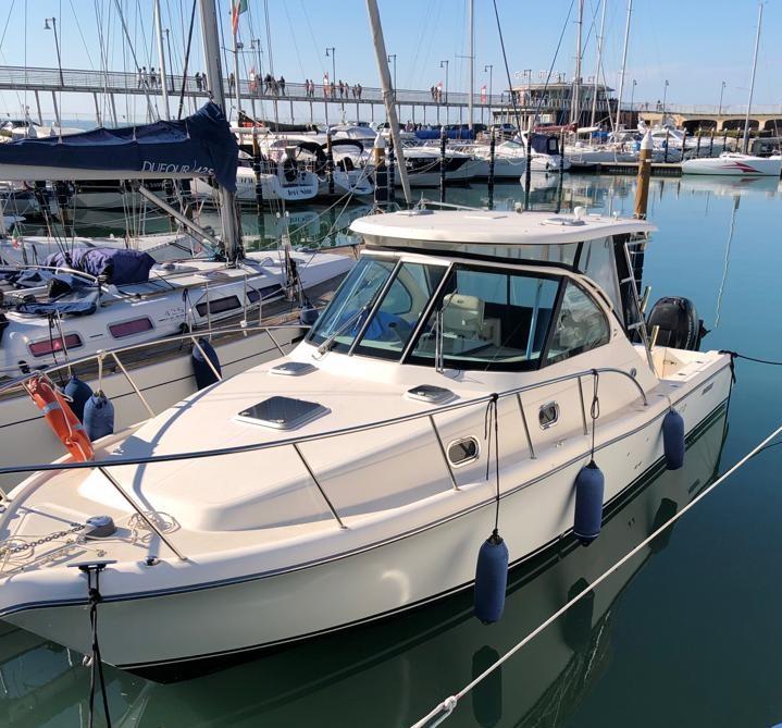 pursuit Os 335 offshore