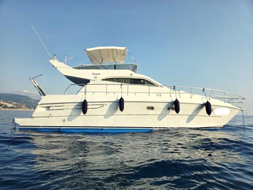 Raffaelli levante fly