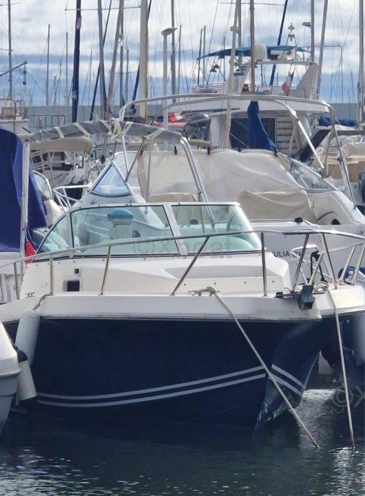 kelt White shark 237