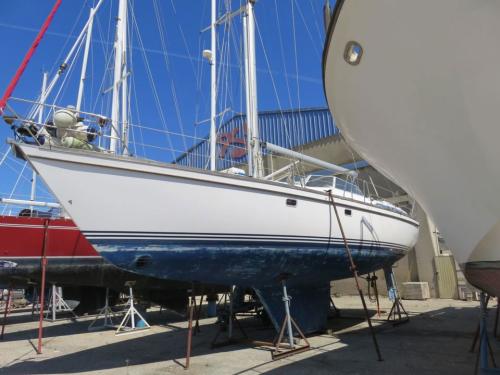 bianca 43