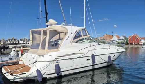 Cruisers yachts 440