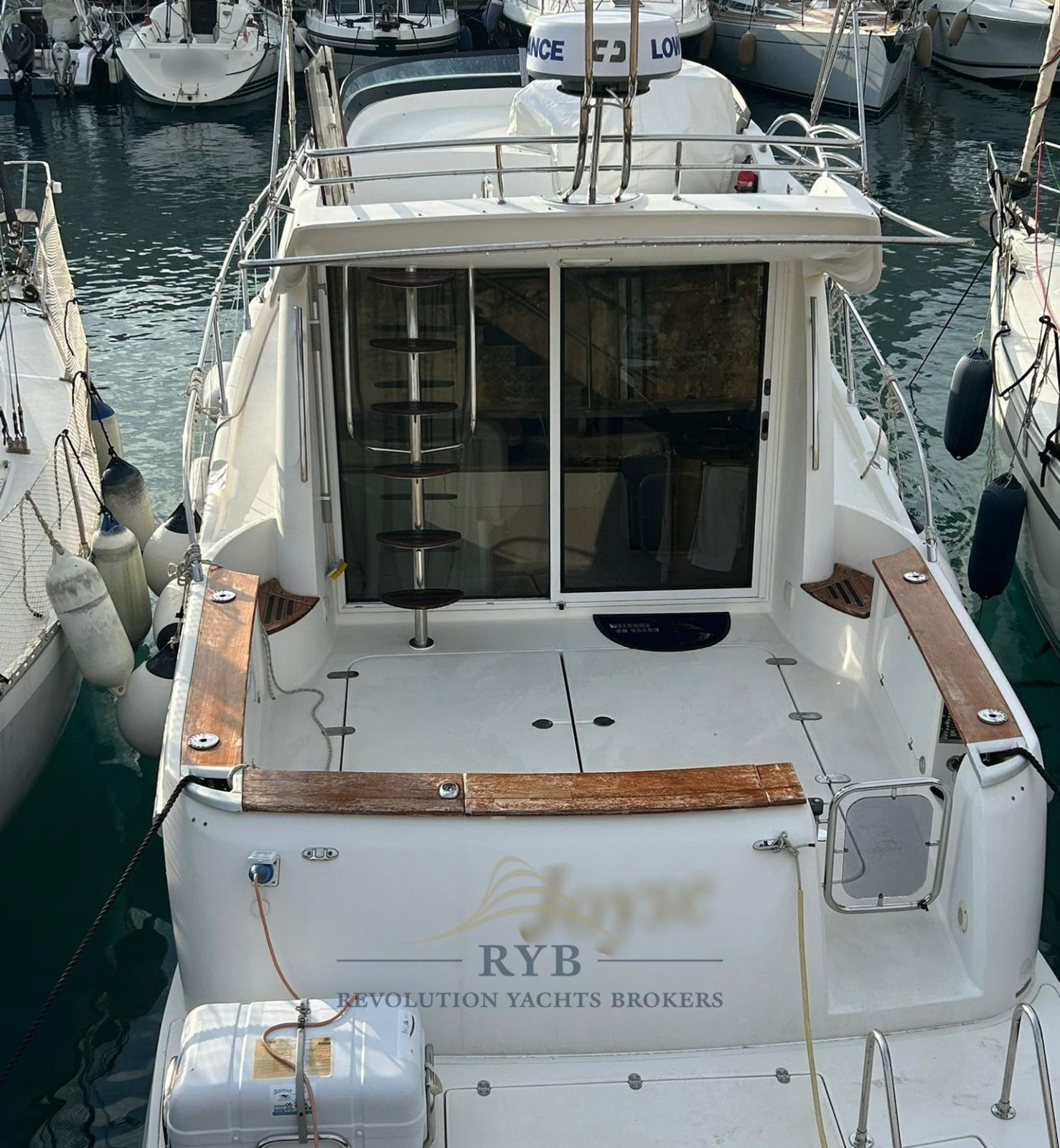 sessa marine Dorado 36