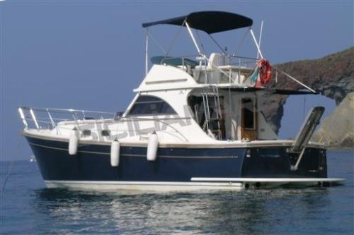 Zeta group goldstar 360 fly