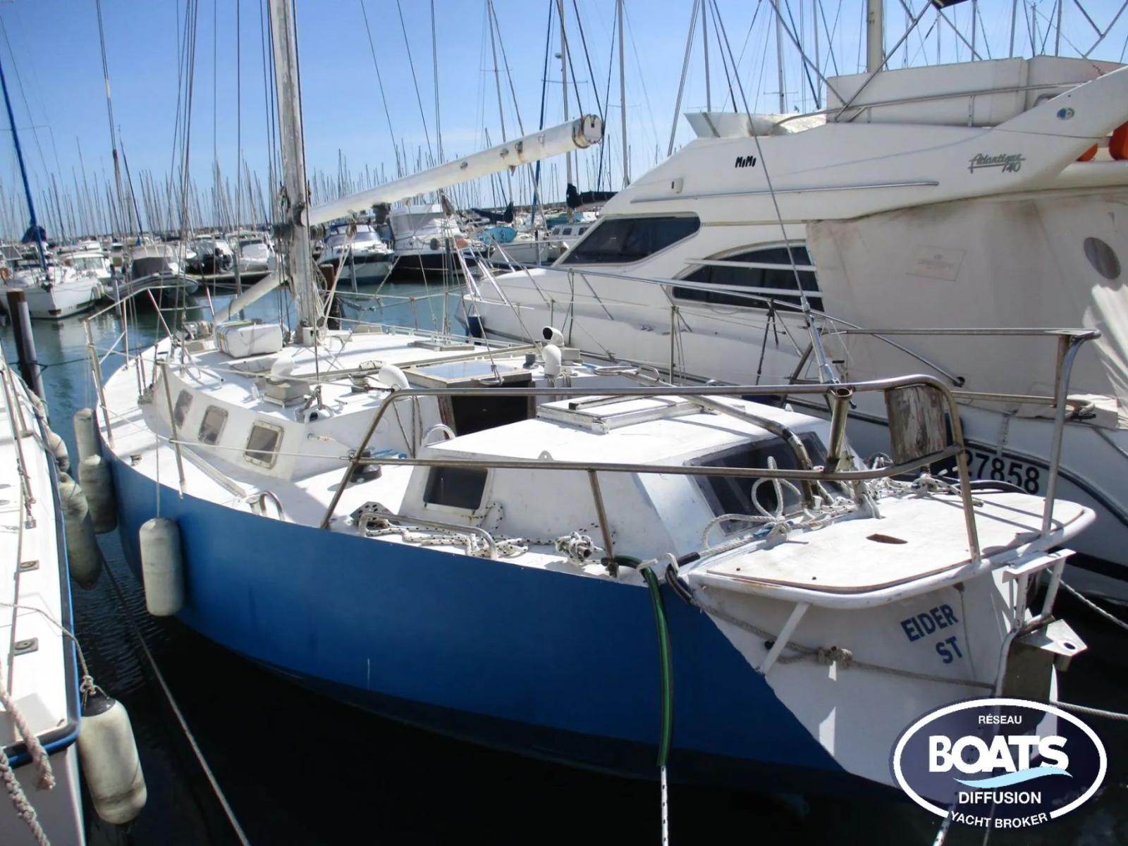 plan caroff amateur Albion pessoa 36 di