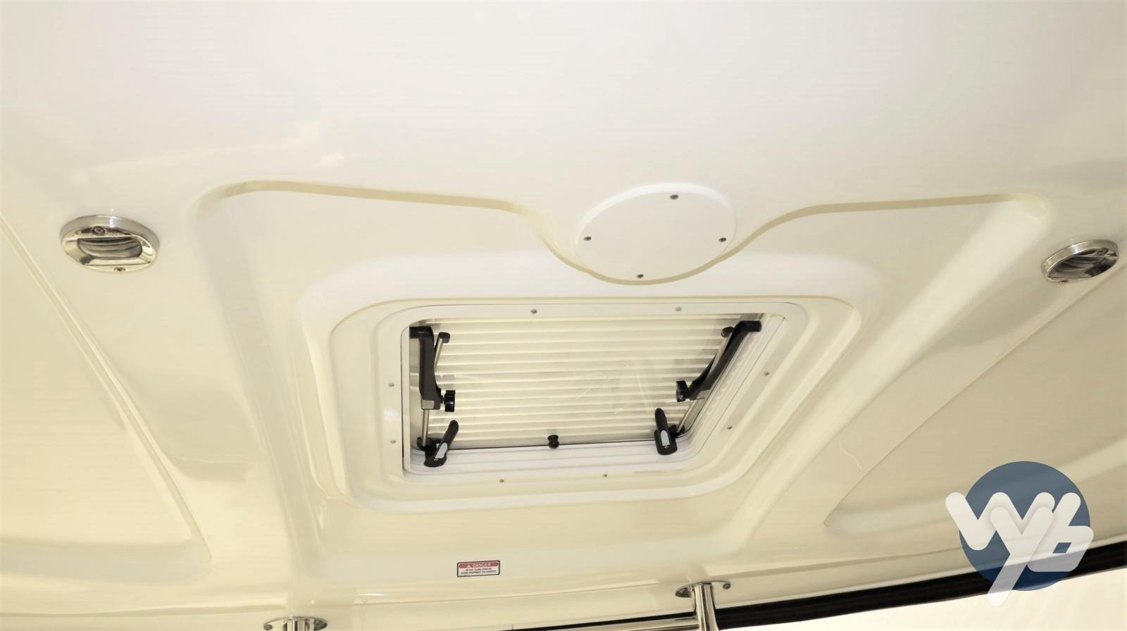 sea ray 455