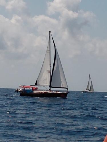 Jeanneau sun odyssey 43