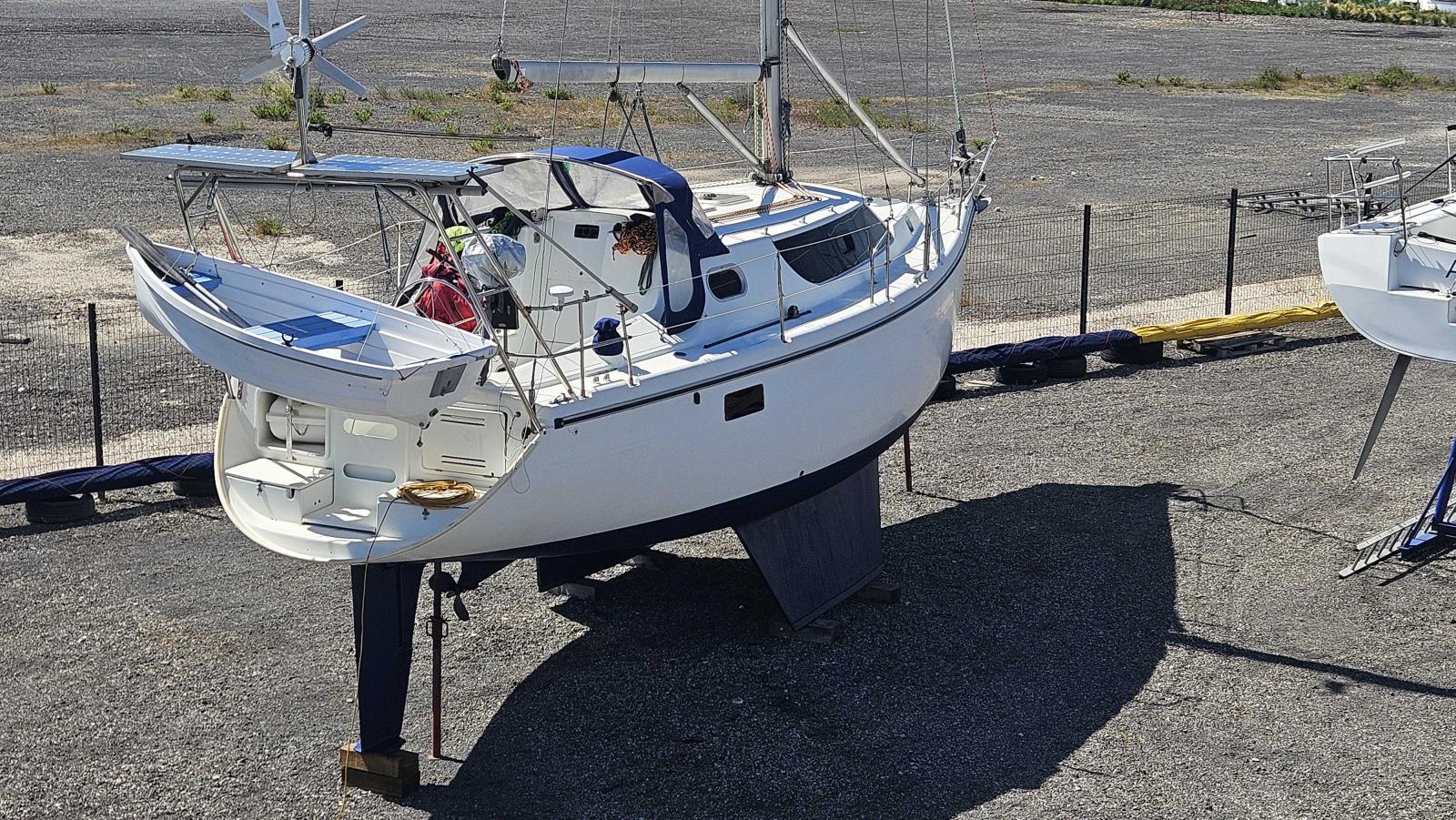 wrighton Bi loup 36