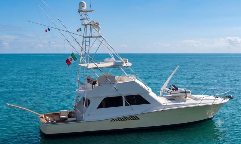 viking marin Viking 50