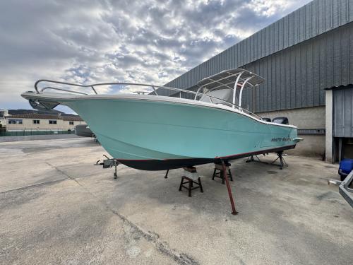 White shark 280 cc evo