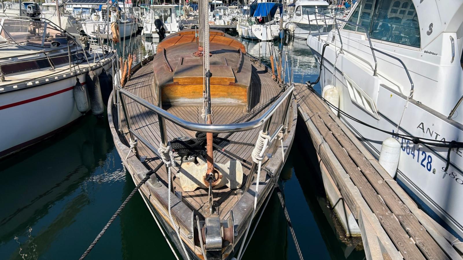 norvegien silvestro Yseult