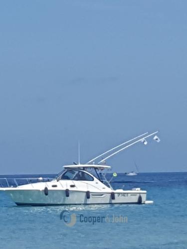 Pursuit 3100 hoffshore