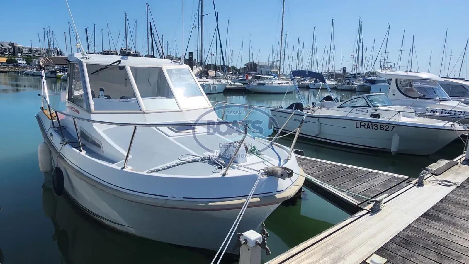 eider marine Sea rover