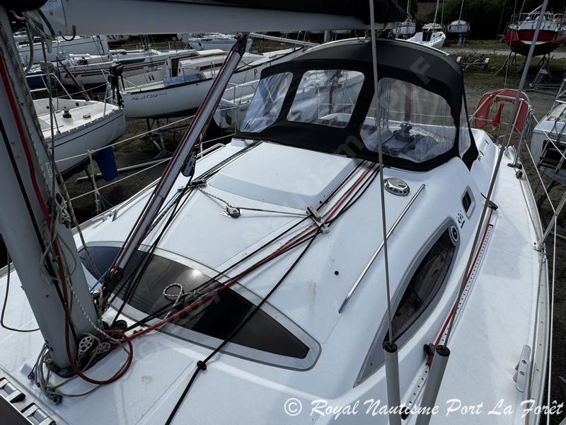 alliaura Feeling 32 di