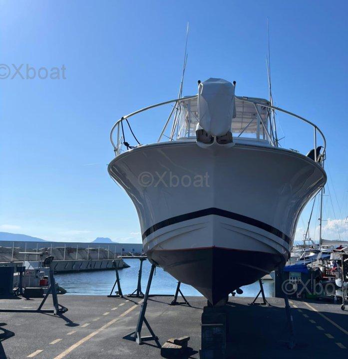 luhrs Luhrs 36 convertible