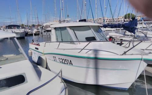 Ocqueteau ocqueteau 625