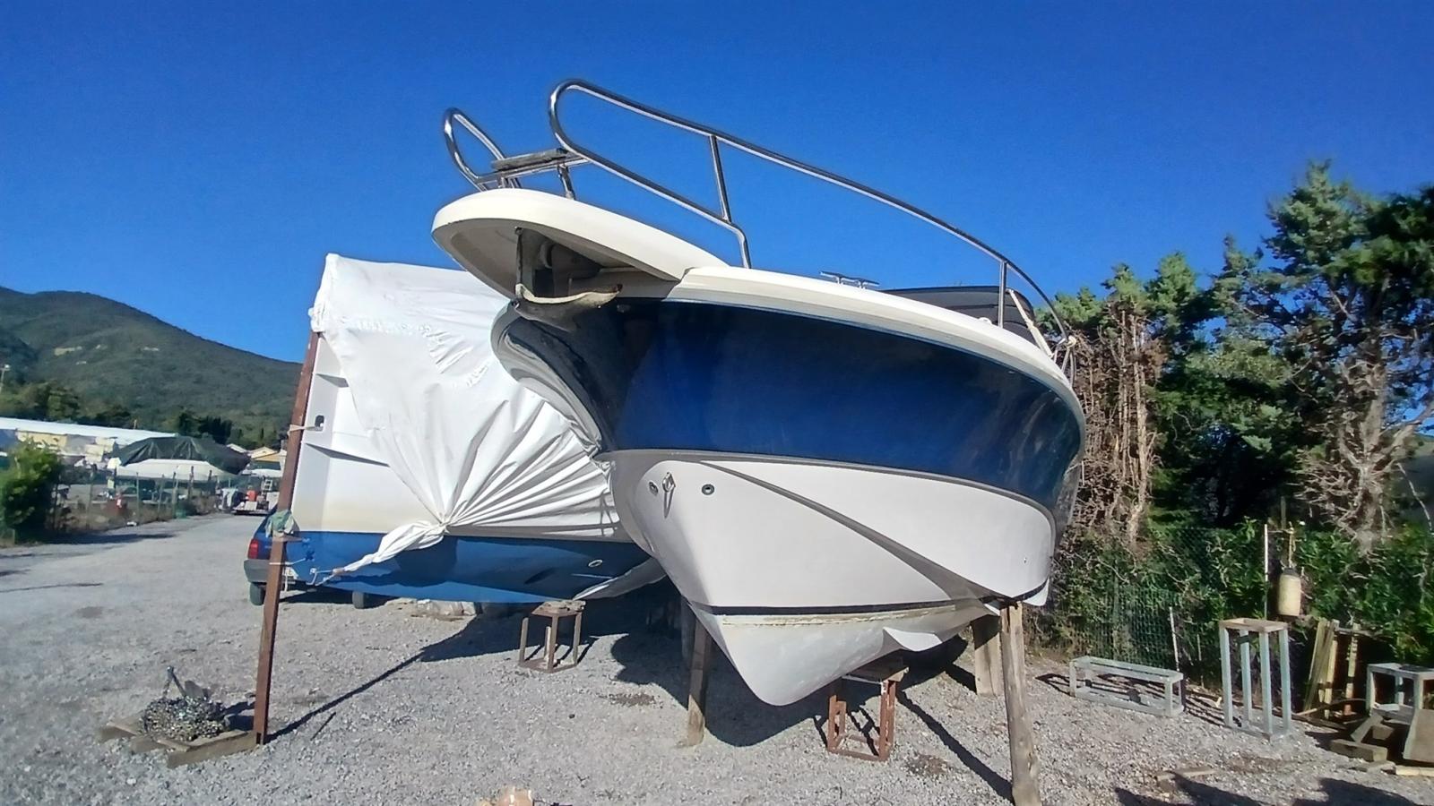 scarani Scarani 29 day cruiser