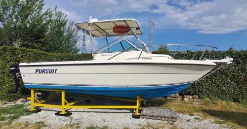 Pursuit pursuit 21,50 wa