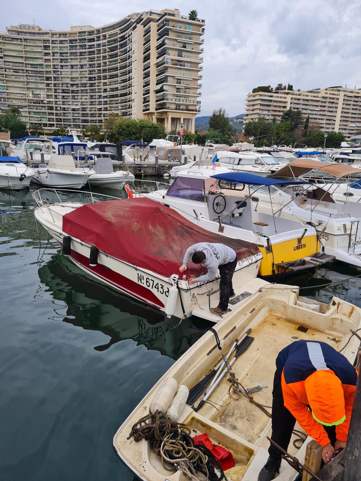 sea ray 210 cc sxl