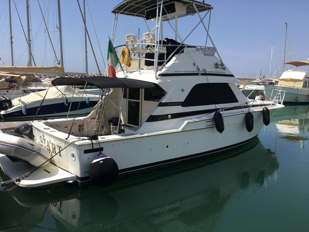 bertram yacht 37' convertible