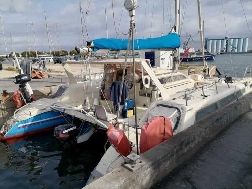  edelcat 35