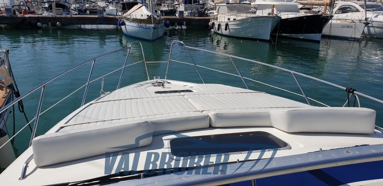 sealine 360 ambassador