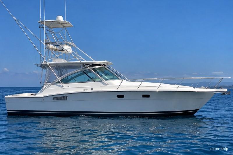 tiara yachts Tiara 3600 open