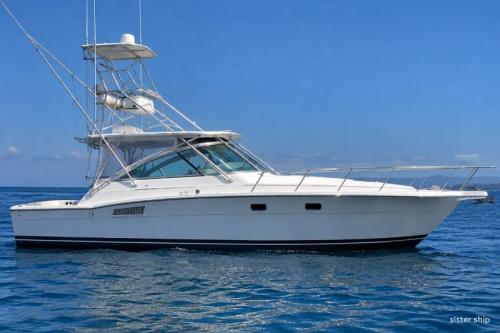 Tiara yachts tiara 3600 open
