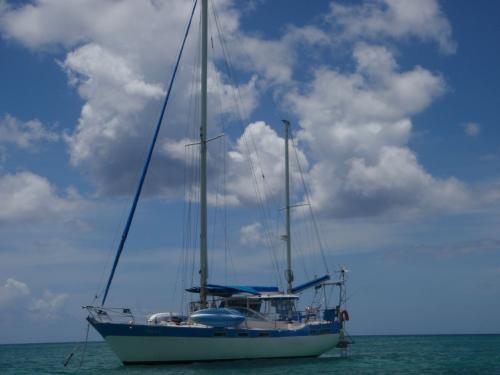 Wauquiez amphitrite 43