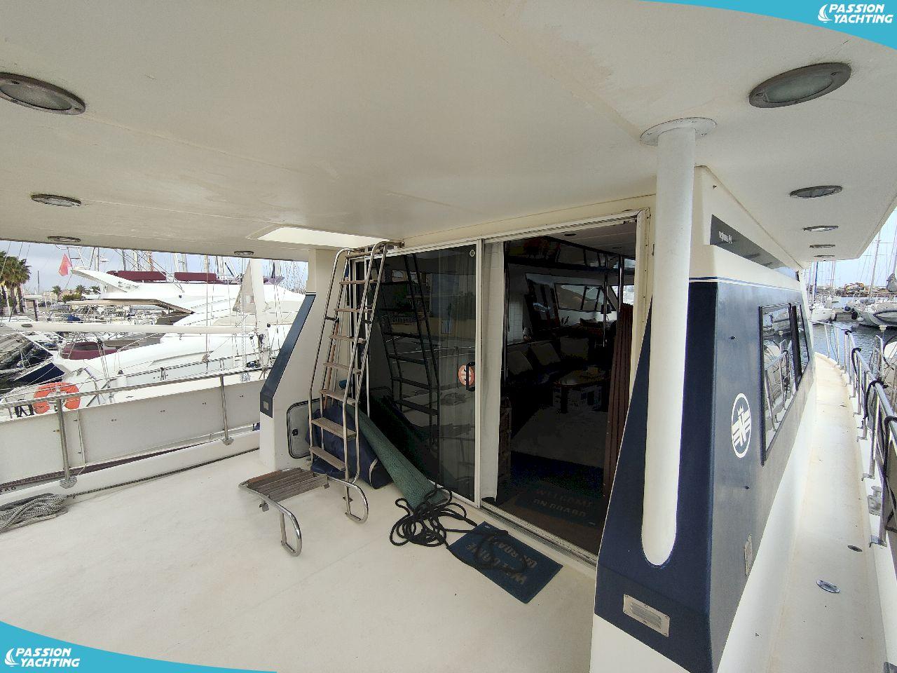 neptunus neptunus196